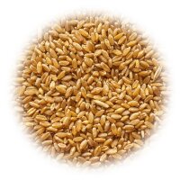 Семена пшеницы в мешке